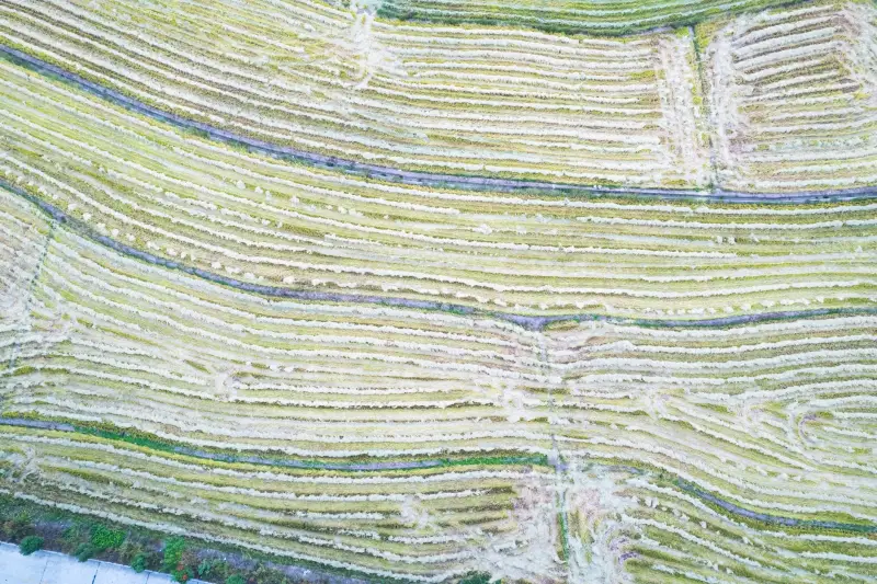 广西天安木业实木地板与复合地板性能对比及适用场景解析
